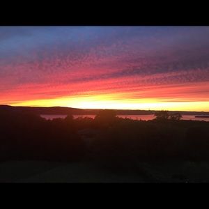 Meet your Posher, Lynn